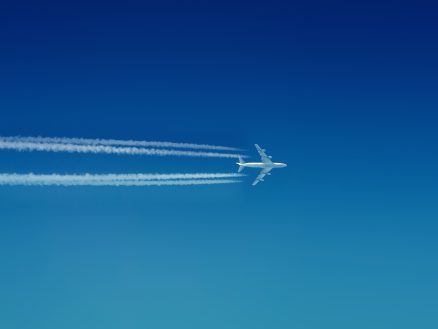 Ne partez jamais sans eux: Probiotiques en voyage