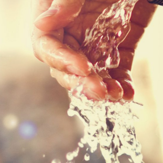 Les probiotiques… une cure de jouvence?