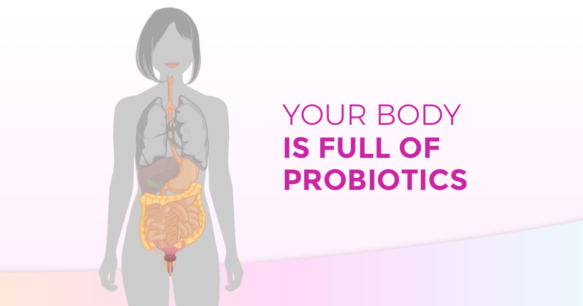 Microbiota & Probiotics - Probiotics Benefits and Functions